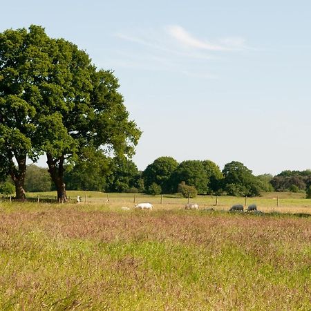 De Rheezer Kamer Hardenberg Exteriör bild