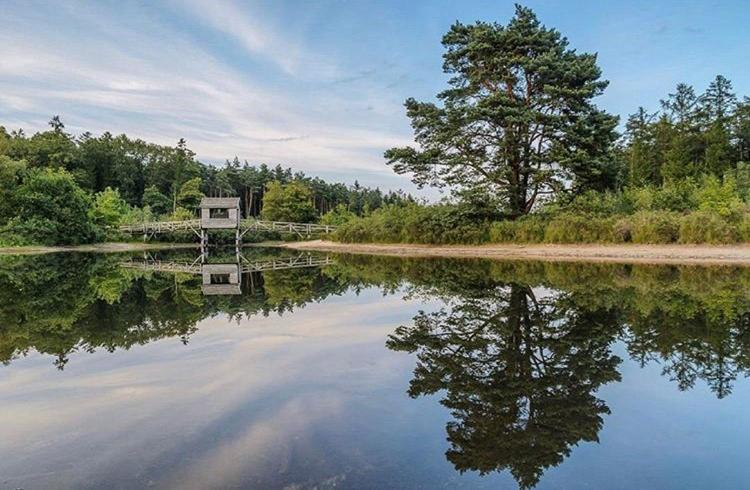De Rheezer Kamer Hardenberg Exteriör bild