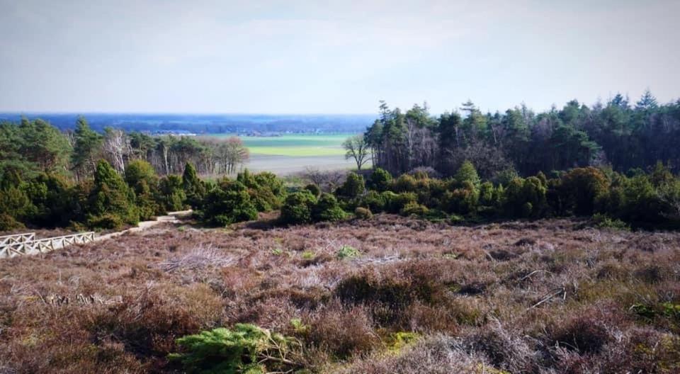 De Rheezer Kamer Hardenberg Exteriör bild