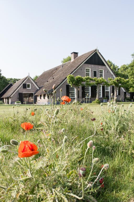 De Rheezer Kamer Hardenberg Exteriör bild
